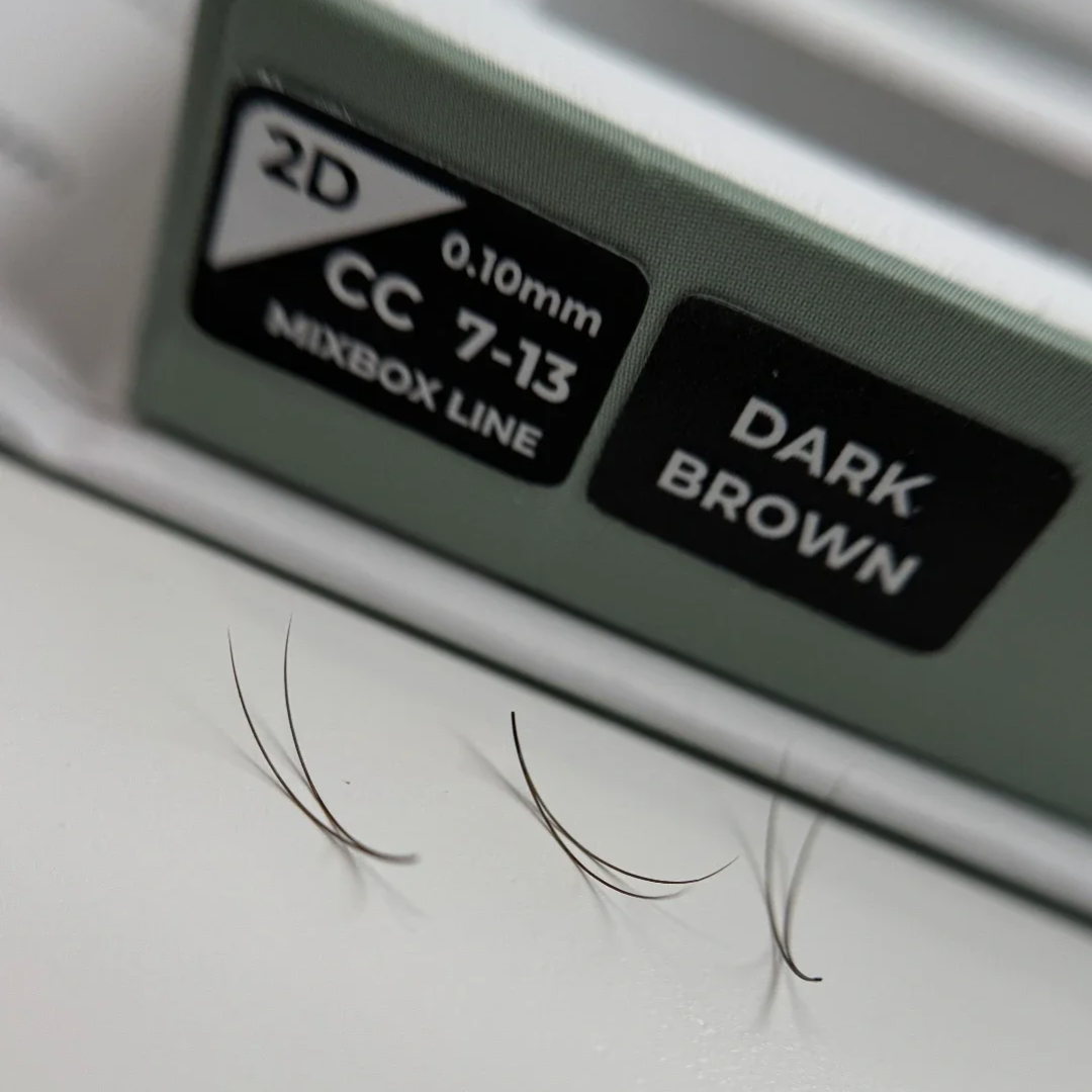 2D Fertigfächer | Dark Brown | Wimpernverlängerung