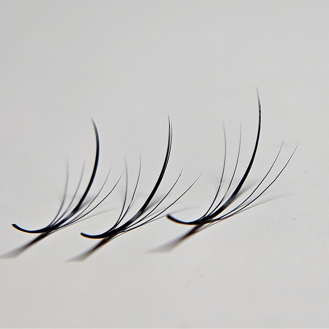 Wispy Lashes 5D |  MIXBOX 8-14mm