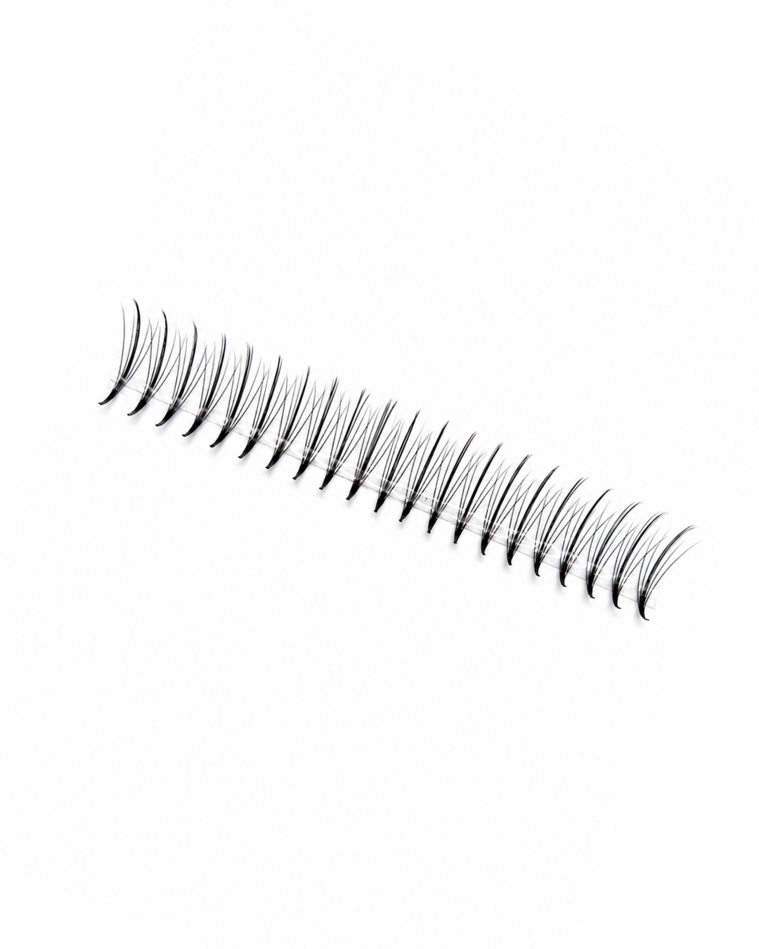 Wispy Lashes 5D | Auf Klebestreifen | MIXBOX 8-14mm
