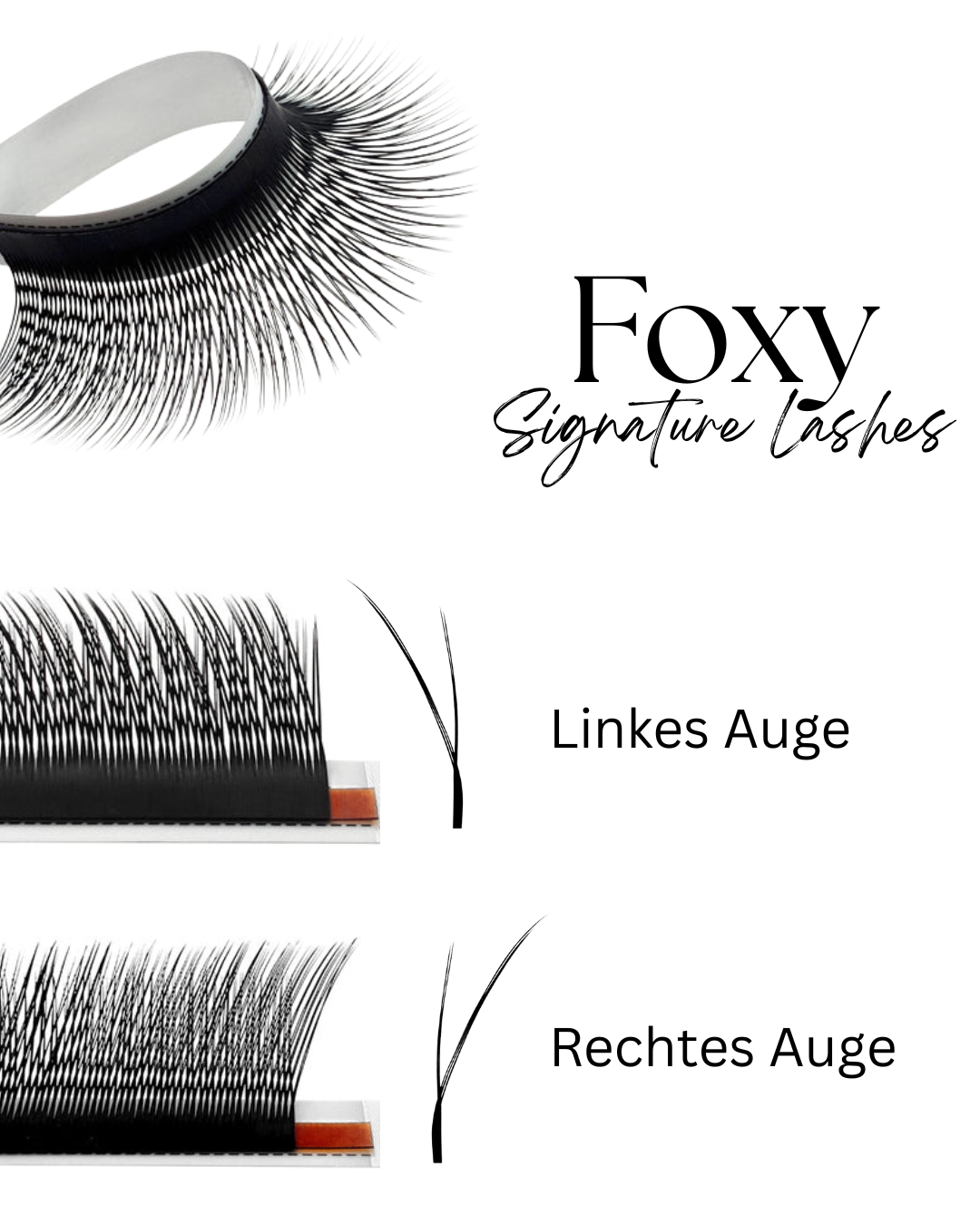 Foxy Signature Lashes | Kitten Lashes | ca 5100 Fertigfächer| 0.07 | Mixbox 8-15mm